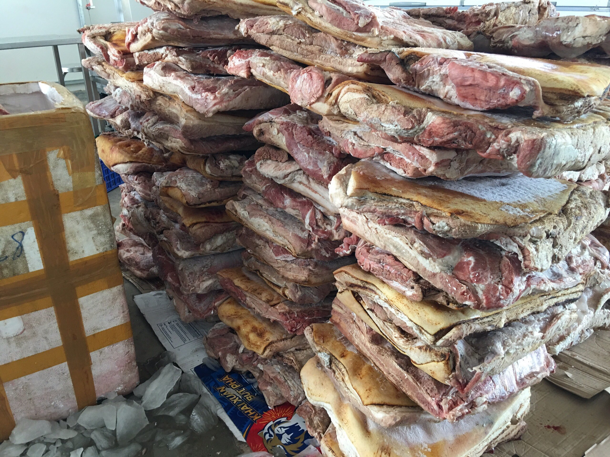 Trên 1,4 tấn thịt heo không có giấy tờ chứng minh nguồn gốc xuất xứ, không dấu kiểm dịch trong kho đông lạnh doanh nghiệp. Ảnh: T.C.