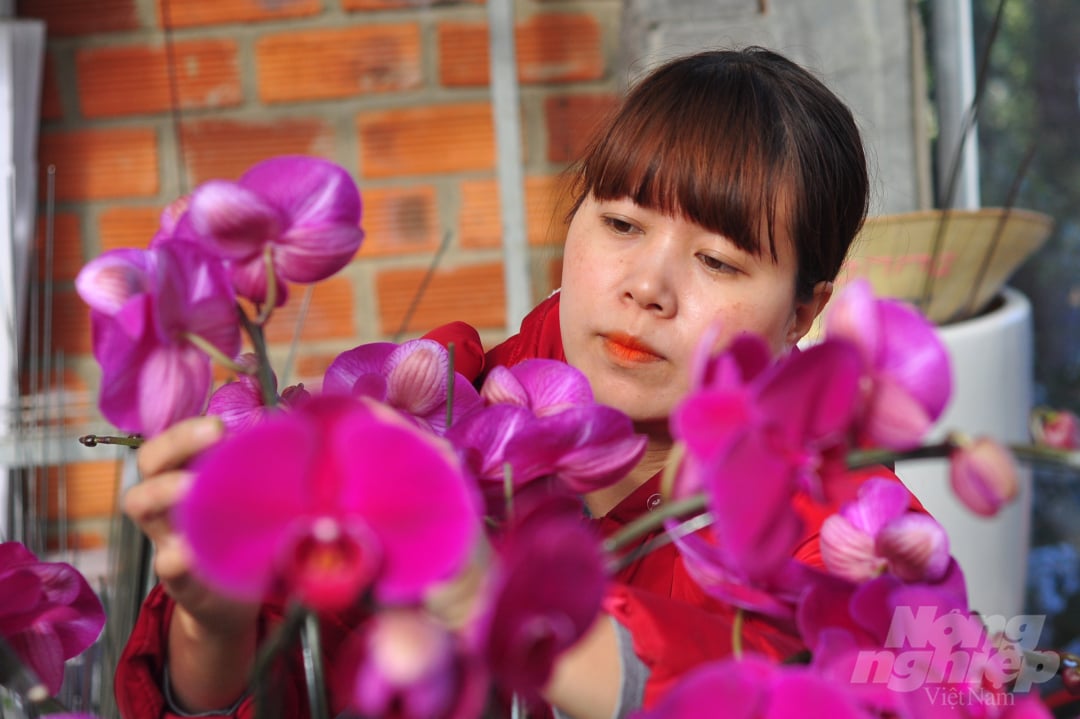 Hiện tại, gia đình ông Sang đang đóng các chậu hoa có giá từ 300.000 đồng đến 10 triệu đồng.