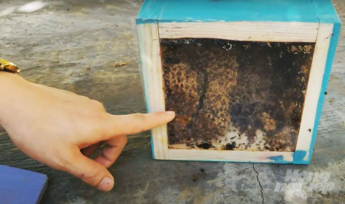 The crate for stingless bees is compact and simple, the investment cost is not too high. Photo: M.H.