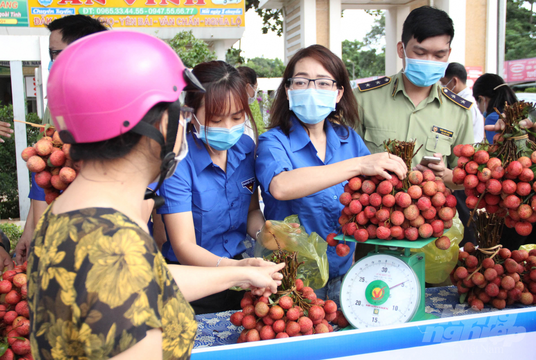 Người dân Đăk Lăk đến 12 điểm bán vải thiều tại TP Buôn Ma Thuột, Đăk Lăk mua ủng hộ nông dân tỉnh Bắc Giang.