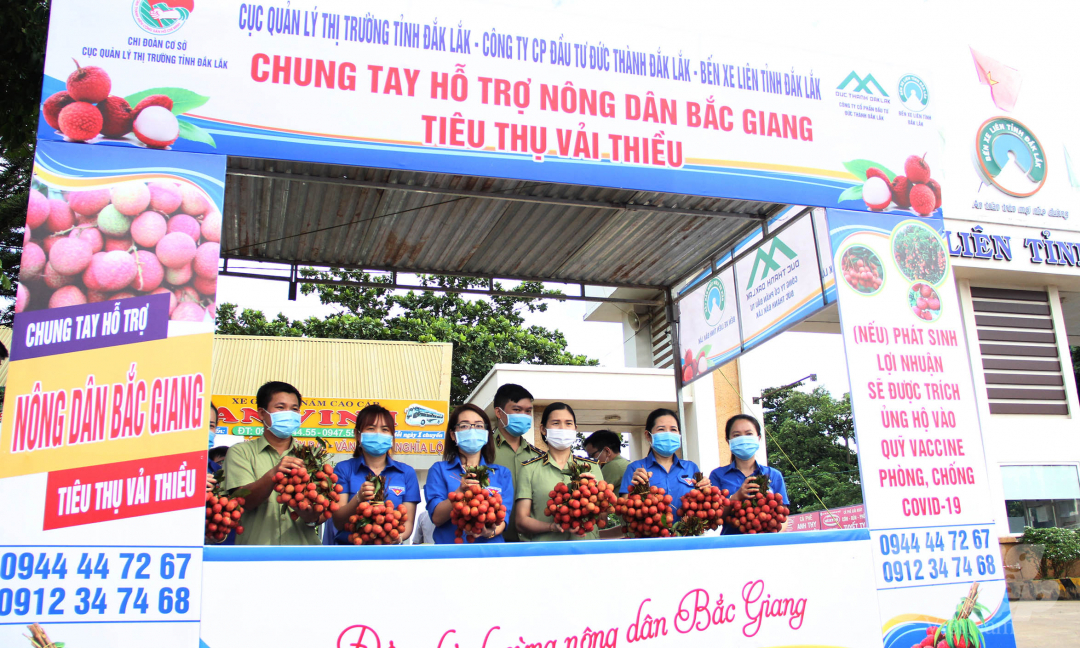 Hiện đã có 12 đơn vị tại TP Buôn Ma Thuột liên kết với Cục Quản lý thị trường tỉnh Đăk Lăk tổ chức bán vải thiều Bắc Giang.