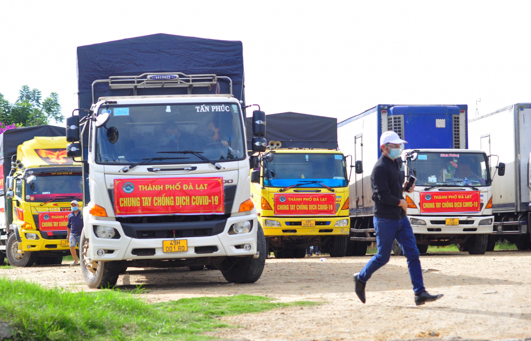 UBND TP Đà Lạt cũng tổ chức 6 chuyến xe vận chuyển trên 60 tấn rau, củ, quả hỗ trợ người dân ở vùng dịch TP.HCM. Ảnh: Minh Hậu.