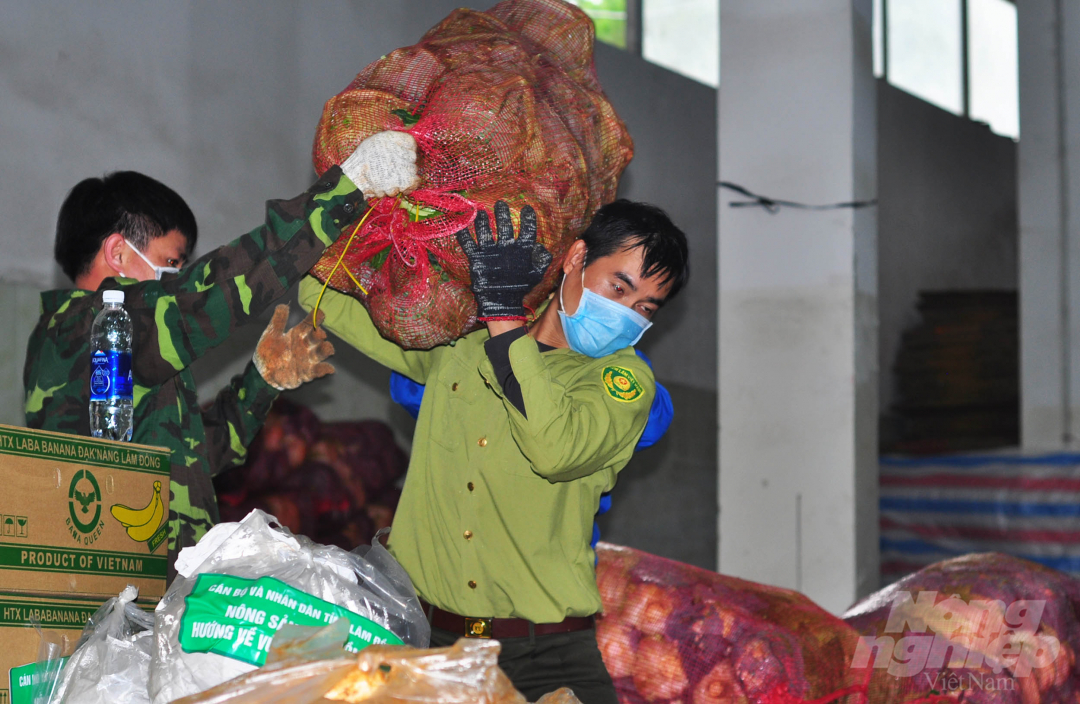 Trong ngày 24/7, Sở Nông nghiệp và Phát triển Nông thôn Lâm Đồng tổ chức chuyển 200 tấn rau hỗ trợ người dân vùng dịch ở TP.HCM, Bình Thuận, Phú Yên... Ảnh: Minh Hậu.
