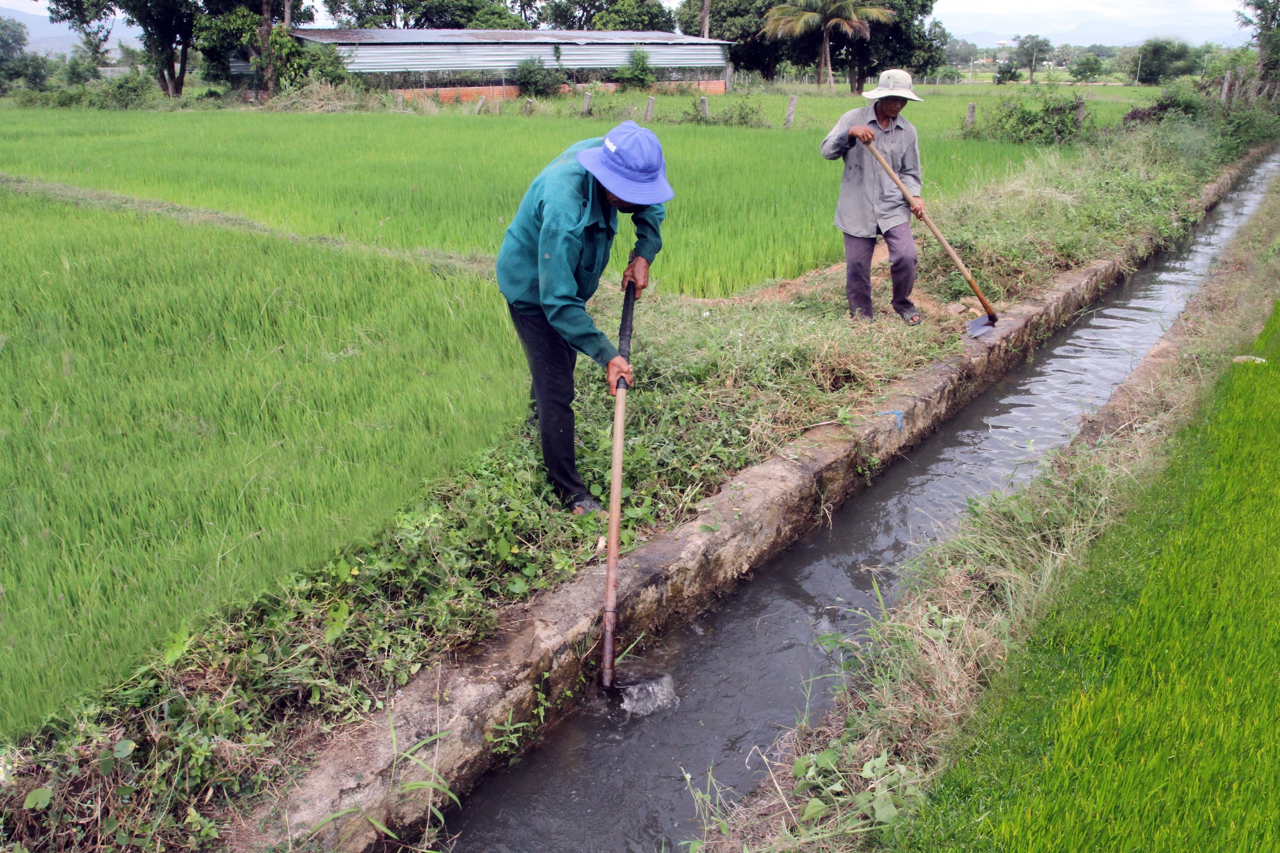 Làm vệ sinh hệ thông kênh mương phục vụ sản xuất.