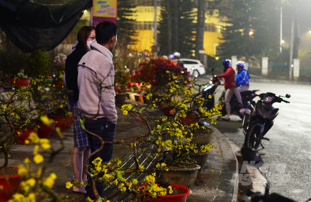 Ở các tuyến phố tổ chức chợ hoa xuân, nhiều tiểu thương co ro trong sương lạnh, gắng gượng thức đêm để mời chào khách mua hoa, cây cảnh.