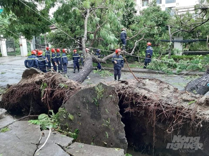 Lực lượng chức năng tỉnh Thừa Thiên - Huế cùng người dân khắc phục hậu quả sau bão số 5. Ảnh: Tiến Thành.