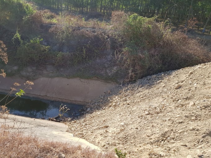 Công ty Thuận Phong tự ý lấp kênh dẫn nước do Nhà nước đầu tư để làm đường chở cát.