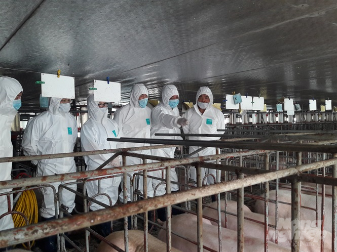 Một trong những yếu tố quan trọng trong chăn nuôi được các doanh nghiệp Việt Nam đặc biệt chú trọng là chăn nuôi an toàn sinh học. Ảnh: Tùng Đinh.