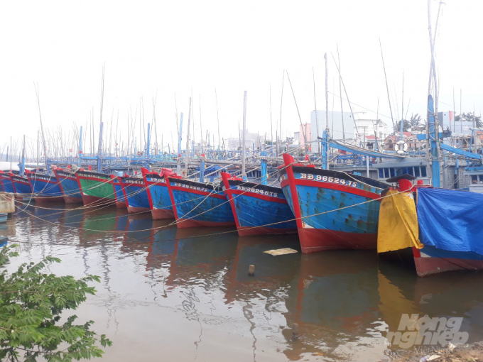 Tàu cá của ngư dân thị xã Hoài Nhơn (Bình Định) neo đậu tránh trú bão số 13 tại cảng cá Tam Quan. Ảnh: Vũ Đình Thung.