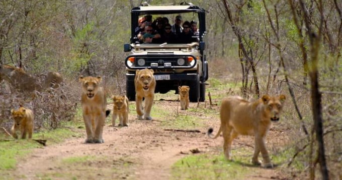 Vườn quốc gia Kruger thu hút hơn nửa triệu du khách mỗi năm. Ảnh: ST.