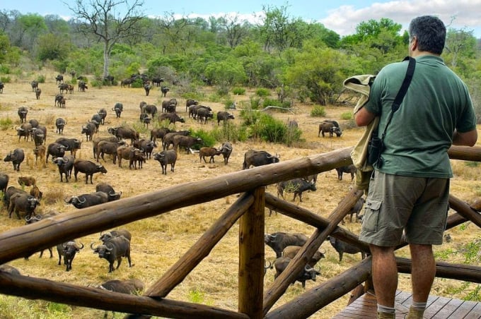 Công viên quốc gia Kruger là nơi sinh sống của rất nhiều loài động, thực vật với số lượng vô cùng ấn tượng. Ảnh: ST.