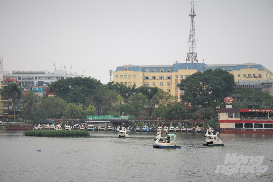 Những dịp lễ tết, dịch vụ cho thuê thuyền vịt đạp tại hồ Trúc Bạch (quận Ba Đình, Hà Nội) rất đắt khách.