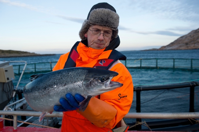 Na Uy có nhiều kinh nghiệm phát triển bền vững ngành nuôi trồng thủy sản quy mô công nghiệp dựa trên những bài học với ngành công nghiệp cá hồi nổi tiếng. Ảnh: WHO.