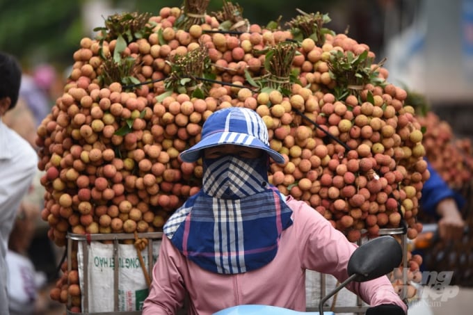This year is a bumper crop of lychees with an estimated output of 180,000 tons. 