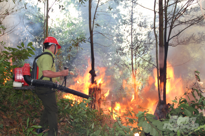 Bộ NN-PTNT yêu cầu các địa phương tăng cường các biện pháp cấp bách để phòng cháy chữa cháy rừng. Ảnh: Phạm Hiếu.