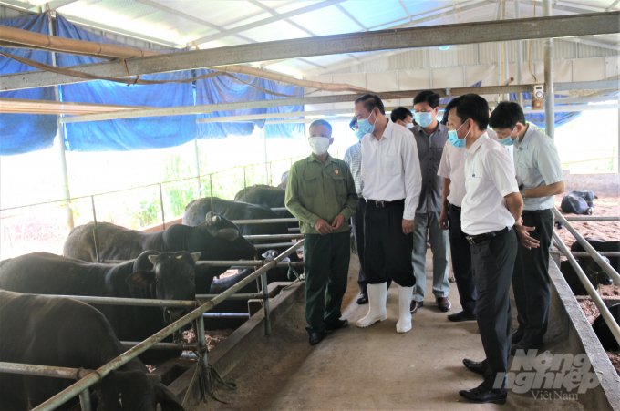 Đoàn công tác của Bộ NN-PTNT đi kiểm tra thực tế tình hình chăn nuôi tại tỉnh Phú Thọ. Ảnh: Phạm Hiếu.