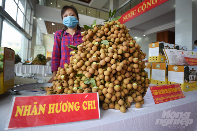 It is expected that in 2021, the total production volume of longan across the country will reach 637,000 tons. Photo: Tung Dinh.