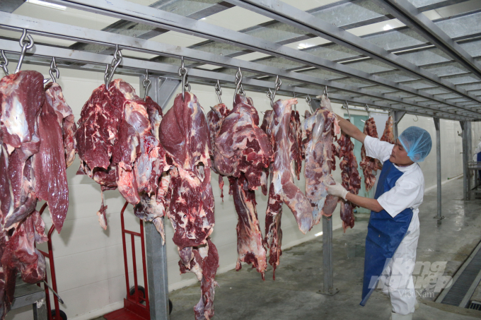 Việc thực hiện kiểm dịch nhập khẩu bò sống từ Brazil vào Việt Nam để giết mổ làm thực phẩm được thực hiện chặt chẽ theo đúng quy định của OIE, pháp luật về Thú y Việt Nam và theo chỉ đạo của Bộ NN-PTNT. Ảnh: Phạm Hiếu.