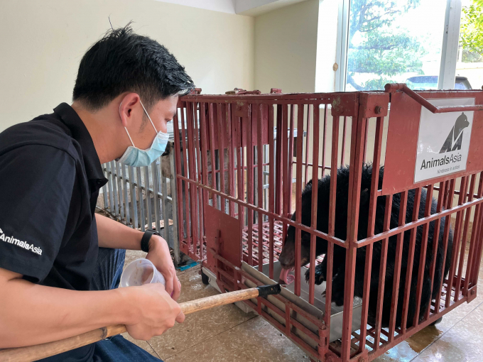 This marks the fourth rescue of Animals Asia this year.