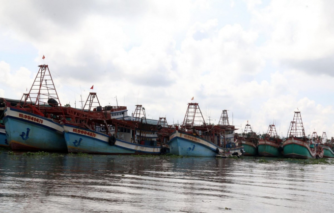 Thời gian qua, nhiều tàu cá của một số tỉnh như Cà Mau, Bình Định, Bà Rịa - Vũng Tàu vi phạm vùng biển của Malaysia, Indonesia để khai thác hải sản.