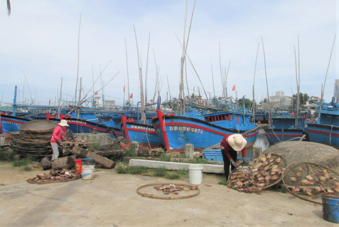 Cảng cá Tam Quan (xã Tam Quan Bắc, huyện Hoài Nhơn, tỉnh Bình Định) vẫn chưa được đầu tư đúng mức.