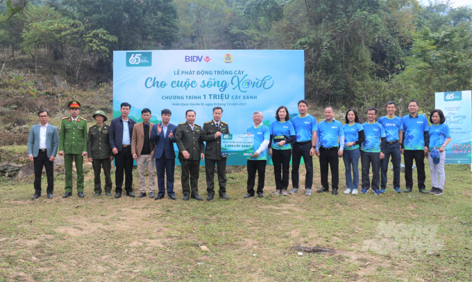 Chương trình trồng cây xanh tại khu vực xã Khánh Thượng, Vườn quốc gia Ba Vì, Hà Nội. Ảnh: Phạm Hiếu.