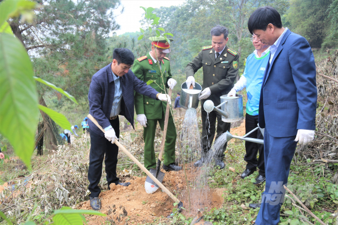 Đây là những cây xanh được Ngân hàng BIDV trồng mới, từ kết quả đóng góp của vận động viên tham gia Giải chạy 'BIDVRUN - Cho cuộc sống Xanh'. Ảnh: Phạm Hiếu.