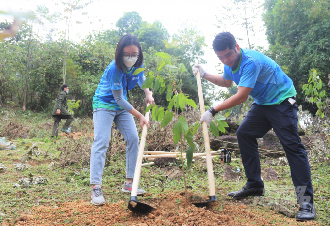 BIDV aims to plant 1 million trees in protection forest areas to reduce the harmful effects of natural disasters, protect the environment and achieve sustainable development. Photo: Pham Hieu.
