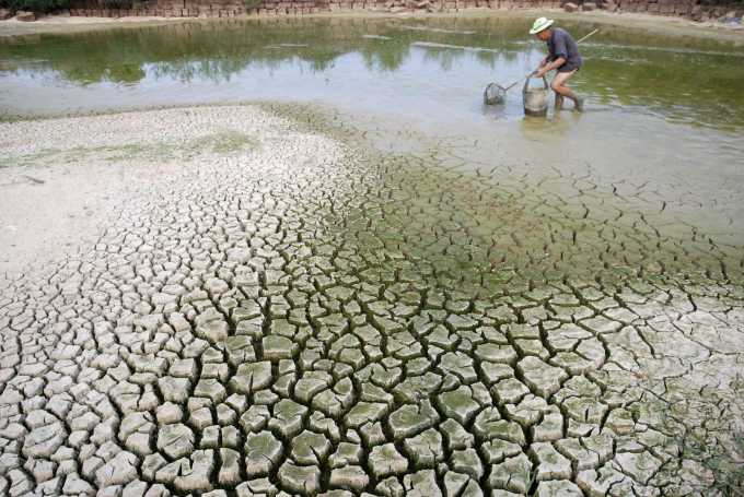 The impact of climate change in the Mekong Delta is becoming more and more evident. Photo: TL.
