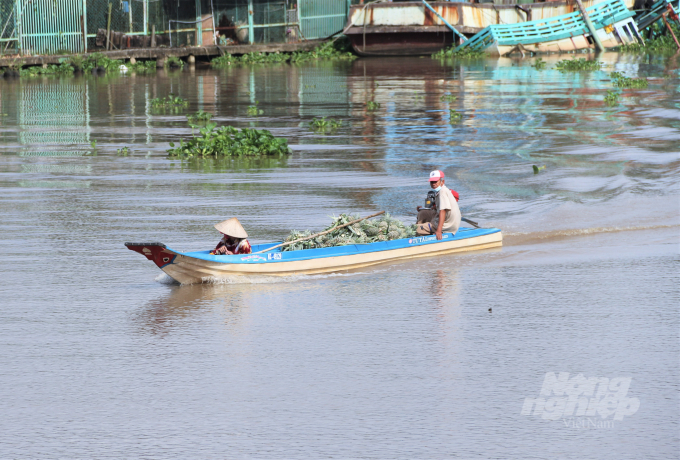 The analysis and identification of climate change risks for the Mekong Delta will help localities to proactively plan and prepare appropriate responses. Photo: Pham Hieu.