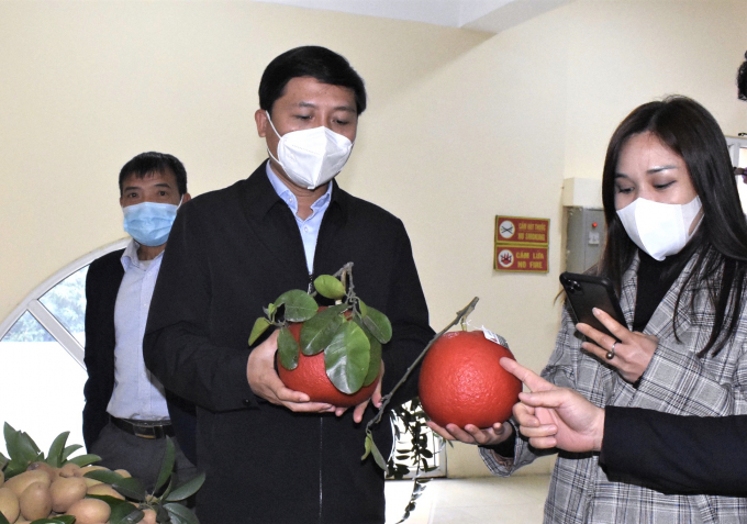 Bí thư Huyện ủy Nguyễn Thanh Liêm trực tiếp giới thiệu sản phẩm bưởi đỏ, đặc sản của xã Tráng Việt, huyện Mê Linh.