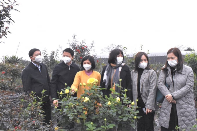 Các đại biểu đi thực địa tại khu trồng hoa hồng thế của xã Mê Linh, huyện Mê Linh, TP. Hà Nội.