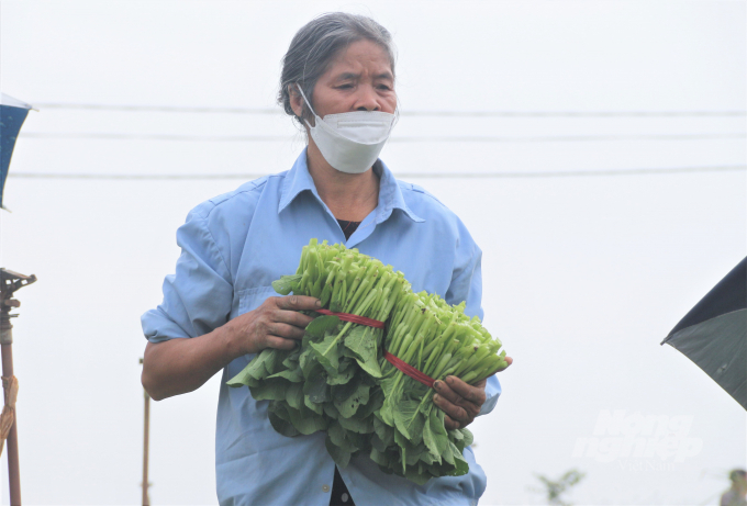 Mỗi ngày, HTX cung ứng cho các thị trường từ 100 - 200 tấn rau sạch để đáp ứng nhu cầu của nhân dân trong dịp Tết Nguyên đán Nhâm Dần 2022. Ảnh: Phạm Hiếu.