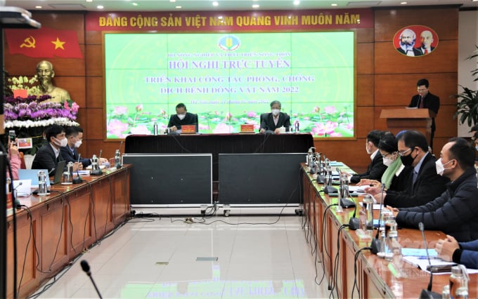 The Ministry of Agriculture and Rural Development on February 11 held an online conference on the implementation of animal diseases prevention and control during 2022. Photo: Phạm Hiếu.
