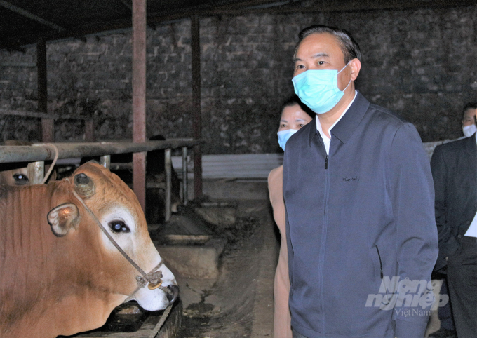 Deputy Minister Phung Duc Tien inspects animal disease prevention and control in the northern province of Son La. Photo: Pham Hieu.