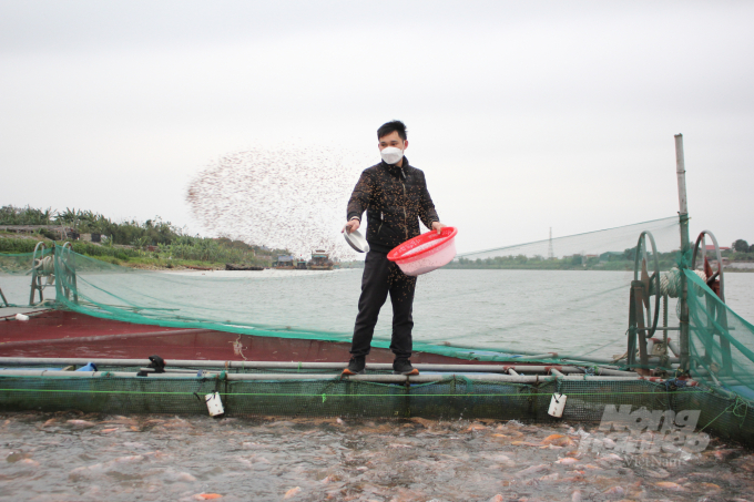 Các hộ nuôi cá lồng tại Bắc Ninh tăng cường biện pháp tăng sức đề kháng, bảo vệ đàn cá trước thời tiết giá rét. Ảnh: Trung Quân.