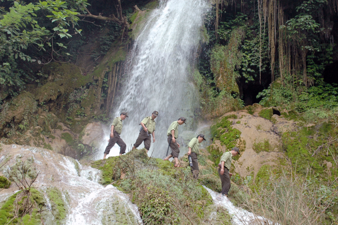 Lực lượng kiểm lâm tuần tra tại các khu rừng đặc dụng, vườn quốc gia. Ảnh: TCLN.