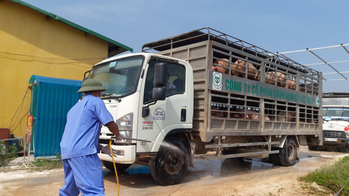 C.P. Việt Nam thông báo giá bán lợn thịt giảm 5.000 đồng/kg, còn 70.000 đồng/kg từ ngày 1/4/2020. Ảnh: Nguyên Huân.