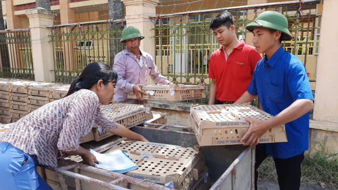 Bàn giao 5 vạn gà giống J-Dabaco 1 ngày tuổi cho bà con nông dân huyện Lý Nhân, Hà Nam. Ảnh: Nguyên Huân.