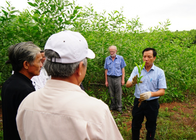Các cán bộ Viện Lâm sinh (Viện Khoa học Lâm nghiệp Việt Nam) hướng dẫn kỹ thuật trồng rừng. Ảnh: Vafs.