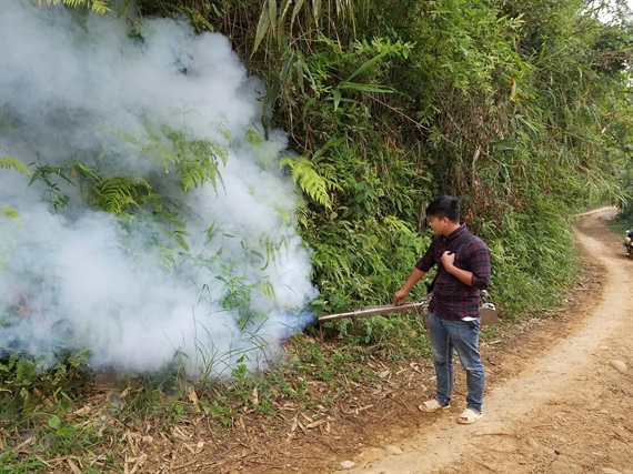 Cục Bảo vệ thực vật (Bộ NN-PTNT) cho biết đã nắm được tình hình châu chấu tre gây hại tại tỉnh Điện Biên và đang phối hợp với cơ quan ban ngành và địa phương khống chế, xử lý. Ảnh: TL.