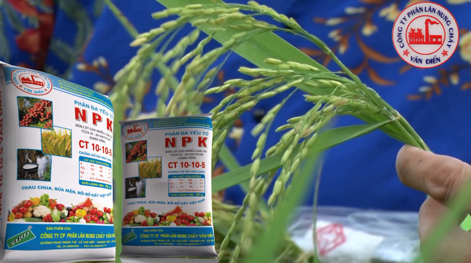 Phân bón đa yếu tố NPK Văn Điển cung cấp đầy đủ đa trung vi lượng cho cây lúa. Ảnh: VADFCO.