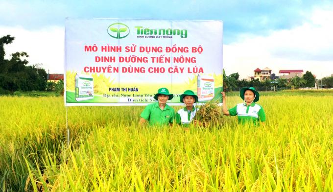 Bộ sản phẩm dinh dưỡng chuyên dùng cho cây Lúa của Tiến Nông đã phát huy hiệu quả, góp phần đem lại những vụ lúa năng suất 7 - 9 tấn/ha. Ảnh: Như Anh.