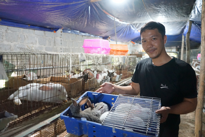 Trung bình 1 tháng trang trại của Anh Nguyễn Văn Trước xuất bán 500 con thỏ giống. Ảnh: Hoàng Dân.