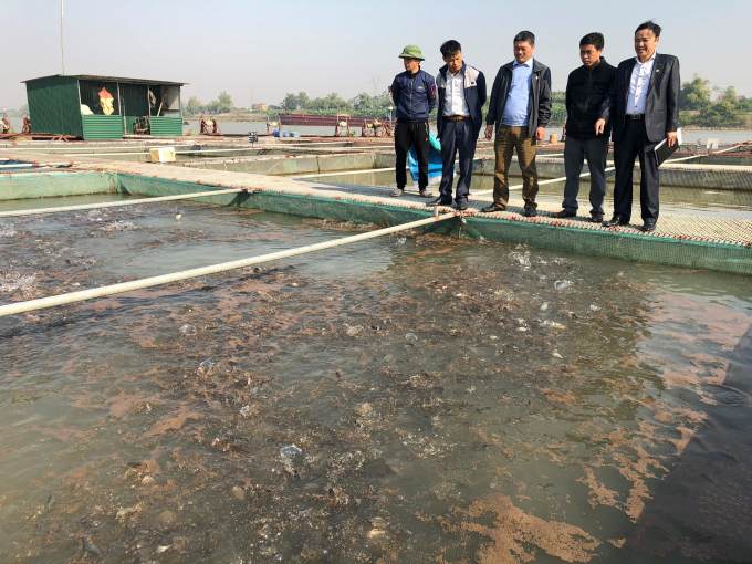 Mô hình nuôi cá lồng công nghệ cao trên sông Đuống tại tỉnh Bắc Ninh. Ảnh: TSBN.