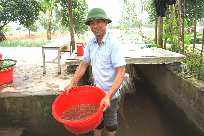 Ông Phạm Xuân Luận, Giám đốc HTX Dịch vụ nông nghiệp An Thanh có 1ha nuôi rươi cho thu nhập hơn 500 triệu đồng/năm. Ảnh: Hoàng Dân.