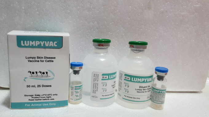 Vacxin Lumpyvac do Công ty Vetal Animal Health Product S.A, Thổ Nhĩ Kỳ sản xuất, Công ty Cổ phần Kinh doanh Thuốc thú y Amavet nhập khẩu. Ảnh: Amavet.