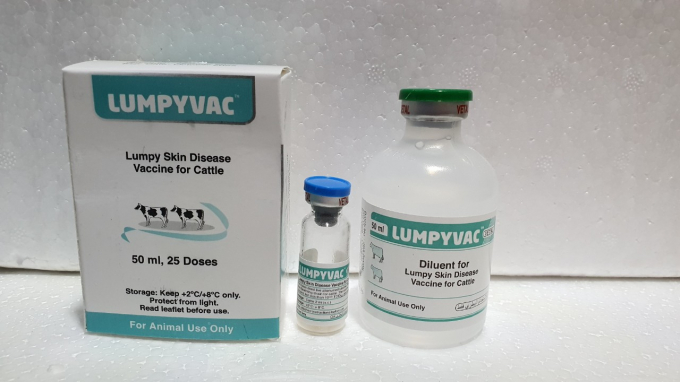 Vacxin Lumpyvac dạng đông khô, mỗi liều 2ml chứa hàm lượng vi rút chủng neethling. Ảnh: Amavet.