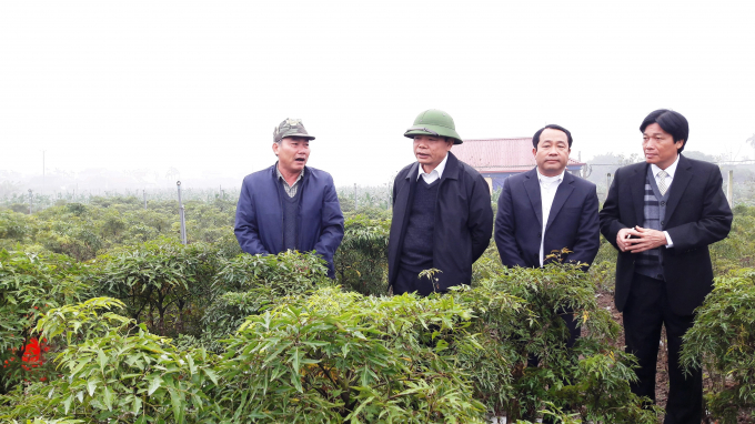 Bộ trưởng Bộ NN-PTNT Nguyễn Xuân Cường thăm mô hình nông thôn mới kiểu mẫu tại huyện Hải Hậu, Nam Định tháng 12/2017. Ảnh: Nguyên Huân.