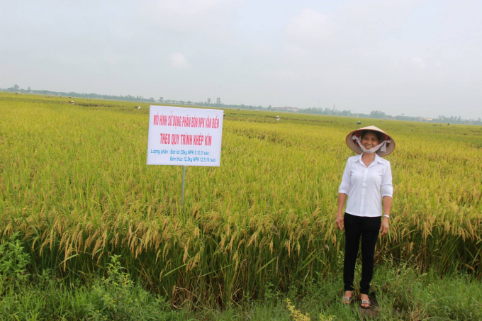 Phân bón Văn Điển trở thành người bạn tin cậy, uy tín và tri kỷ với bà con nông dân miền Bắc từ nhiều năm nay. Ảnh: VADFCO.